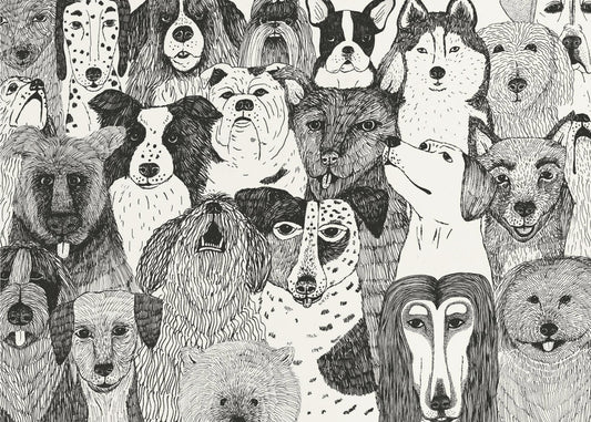 Honden | Poster