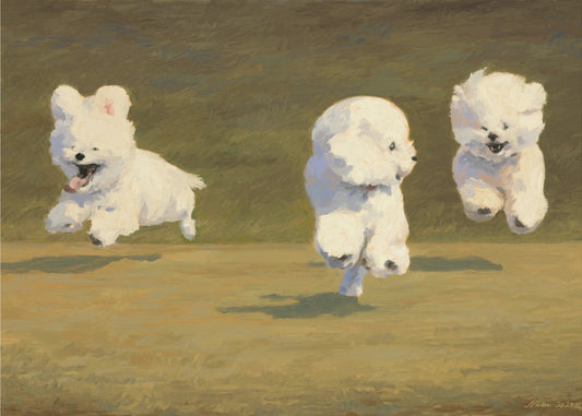 Drie rennende honden | Canvas