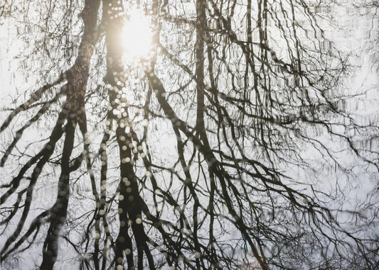 Winterreflecties 3 | Canvas