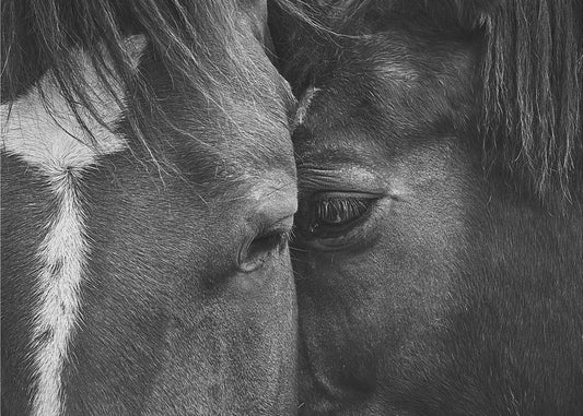 Love | Canvas