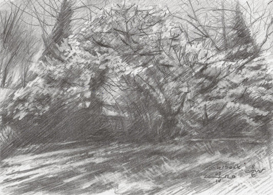 Landgoed 'Oosterbeek' - 07-04-20 | Canvas