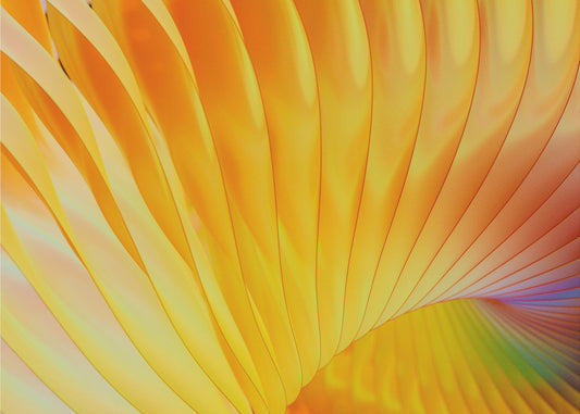 Gouden spiralen | Canvas