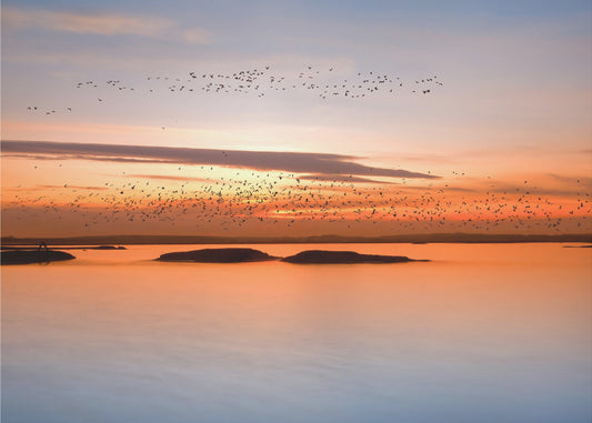 bij zonsondergang | Poster