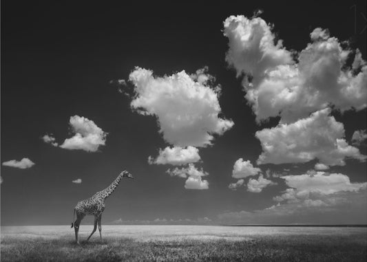 Weg met de wolken | Canvas
