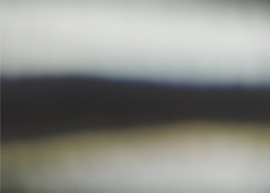 Wazig 1Y | Canvas