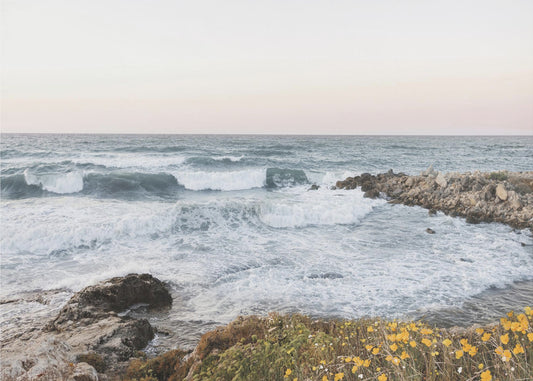 Aan de kust | Canvas