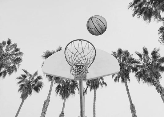 Basketbal | Canvas
