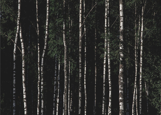 Ergens in Zweden 4 | Poster