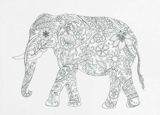 Bloemenolifant | Canvas
