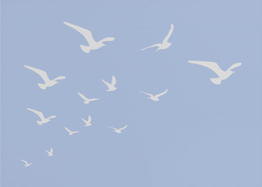 Meeuwen Blauwe Achtergrond | Poster