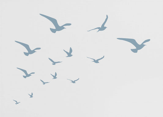 Meeuwen Witte Achtergrond | Poster