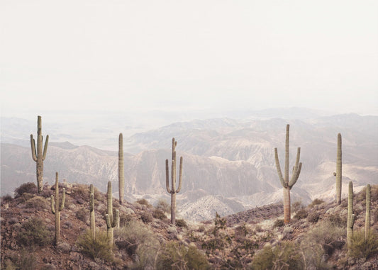 Arizona Vallei | Poster