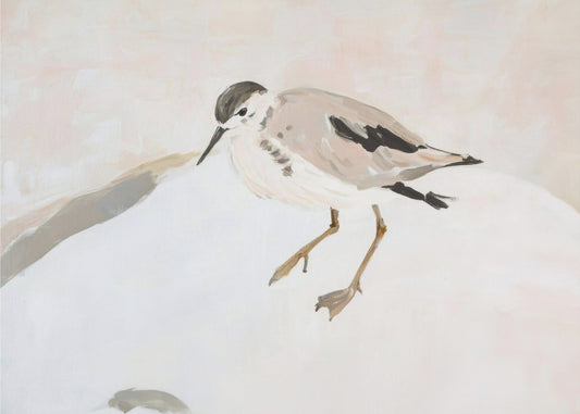 Schattige strandvogel | Canvas