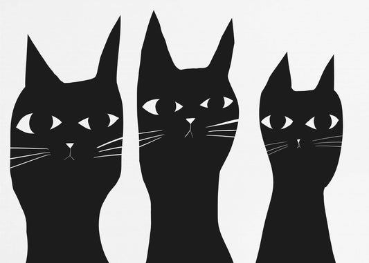 Drie zwarte katten kijken naar de kat | Poster