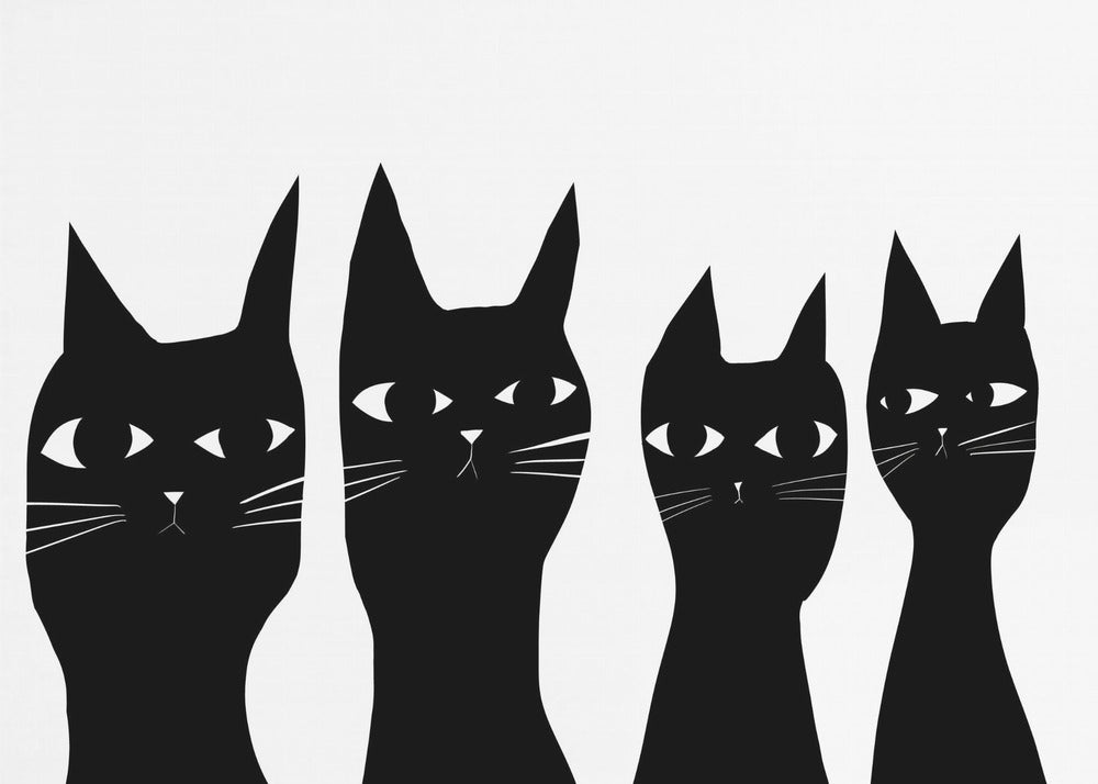 Vier zwarte katten | Canvas