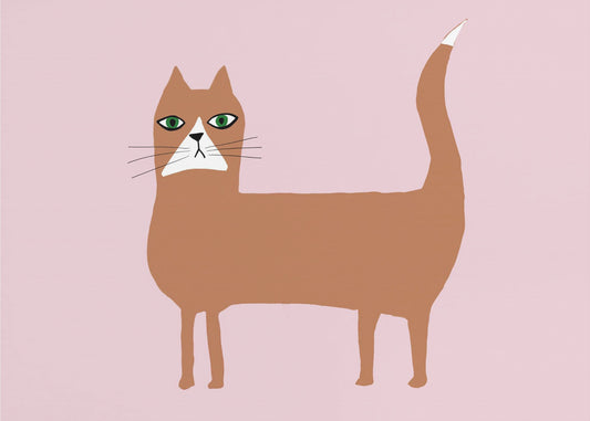 Kat gember oranje | Canvas