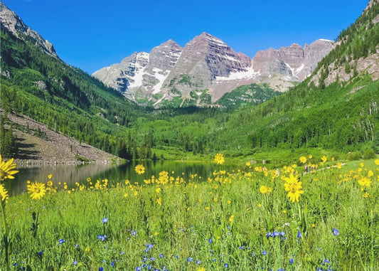 Maroon Bells Wilde Bloemen | Poster