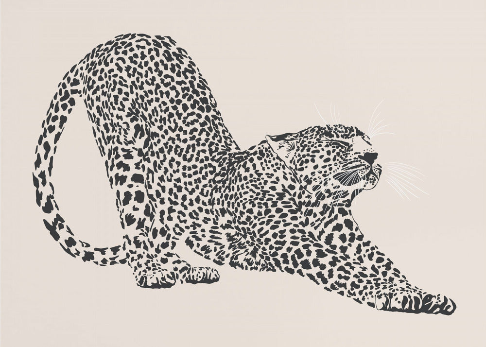 Cheeta | Canvas