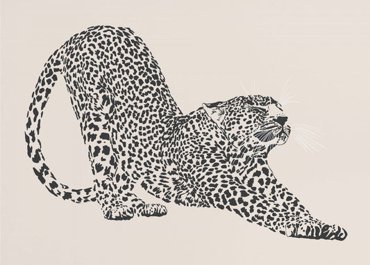 Cheeta | Canvas