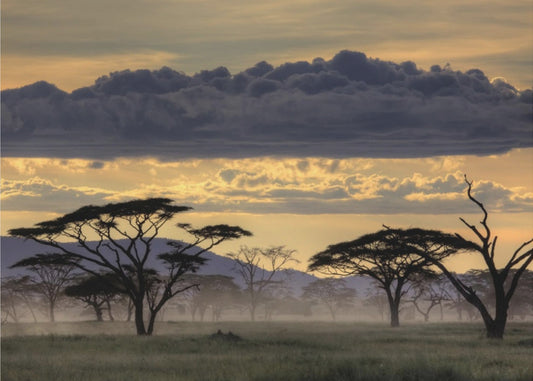Goedenavond Tanzania | Canvas