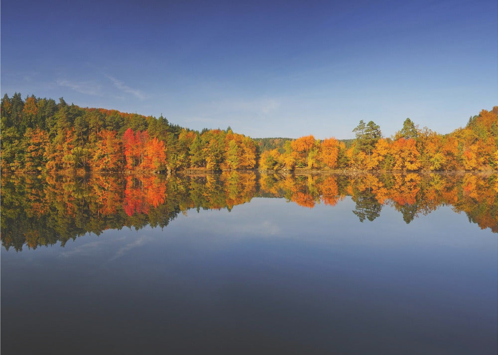 Herfst | Canvas