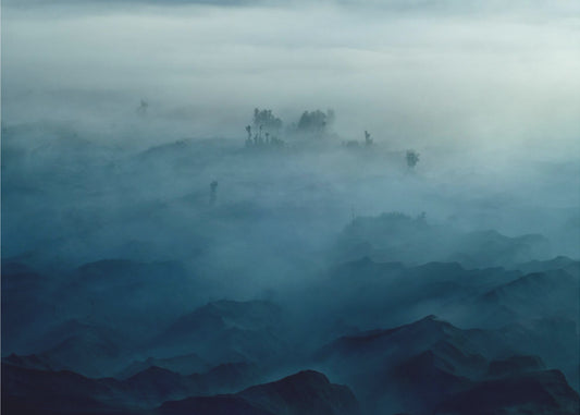 Land van Mist | Canvas