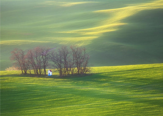 Velden... | Canvas