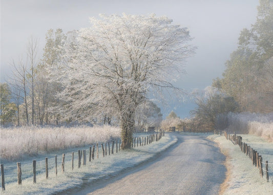 Een ijskoude ochtend | Canvas