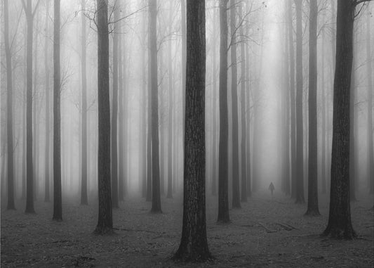 In de mist | Poster