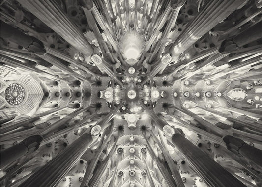 Kunstmatig bos - Sagrada Familia | Canvas