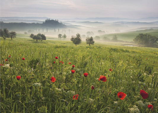 Toscaanse lente | Canvas