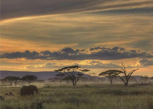 Afrika | Canvas