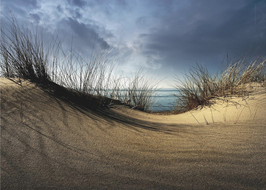 Duinen........... | Poster