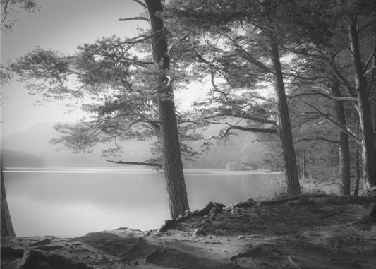 Loch an Eilein | Canvas