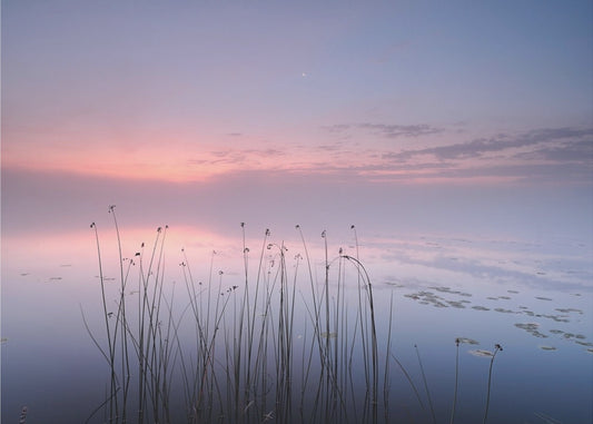 Meer | Canvas