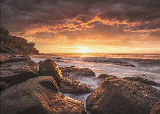 Cape Solander | Behang