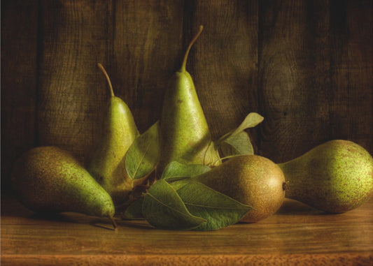 Peren | Canvas