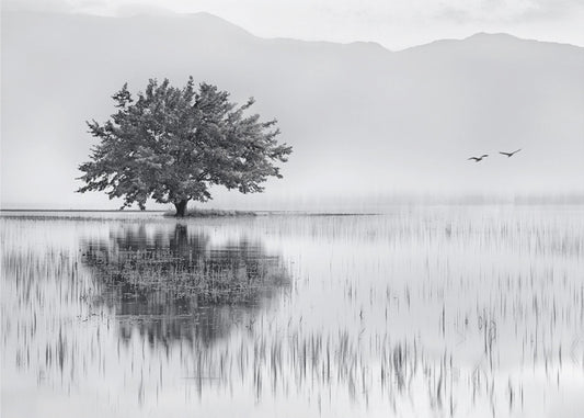 Lentespiegel | Canvas