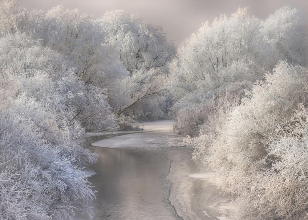 Winterlied | Canvas