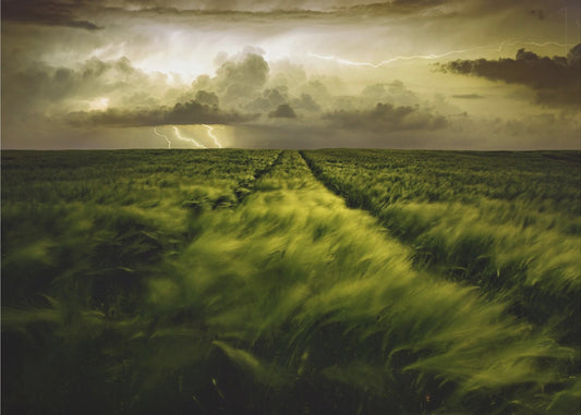 Reis naar de hevige storm | Poster
