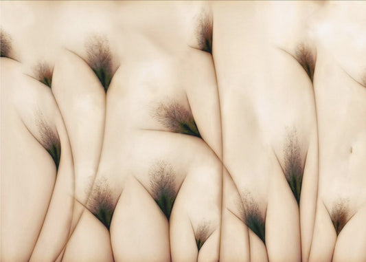 vaginae terram | Canvas