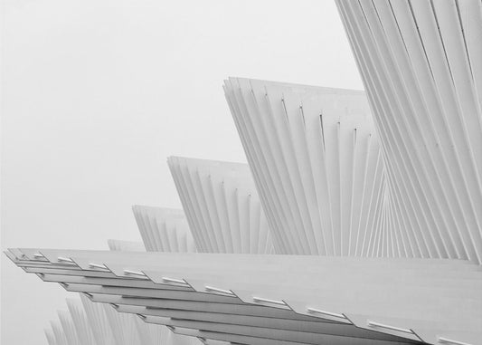Fly | Wallpaper