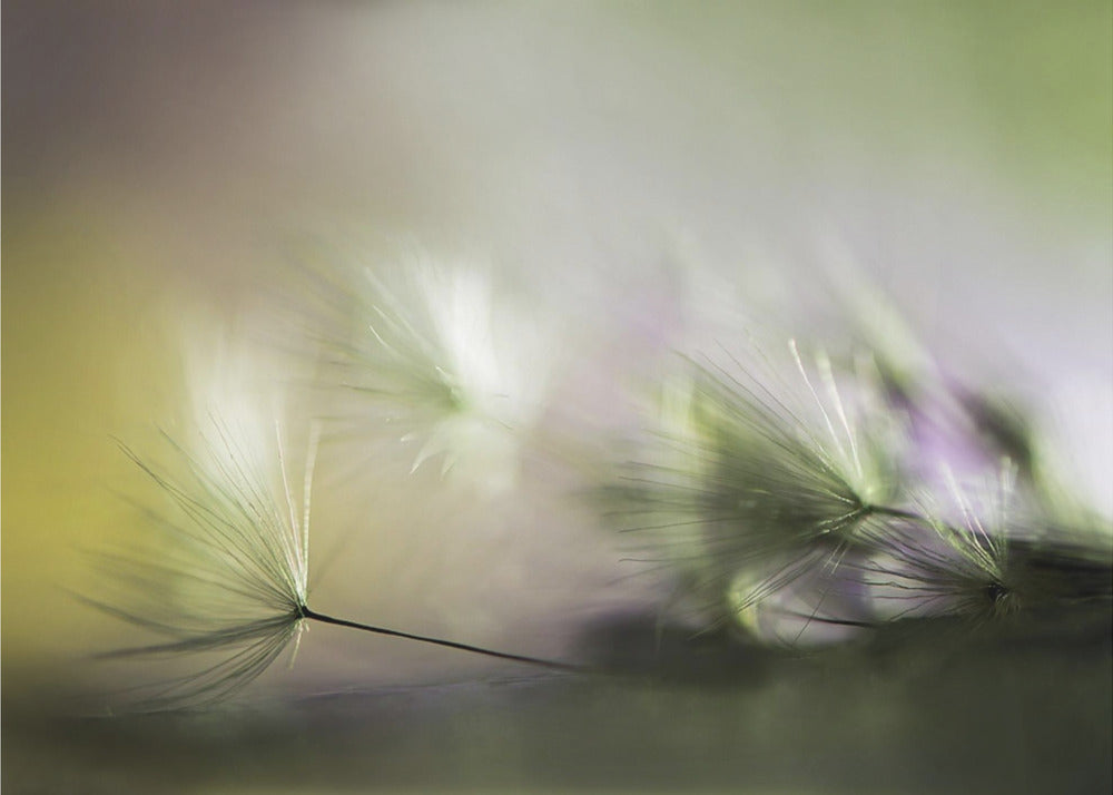 In de ochtend | Canvas