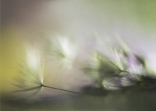In de ochtend | Canvas