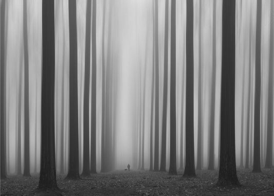 Labyrinth | Canvas