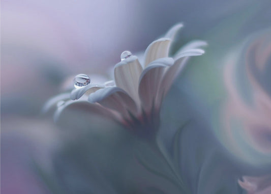 Achter gesloten ogen... | Canvas