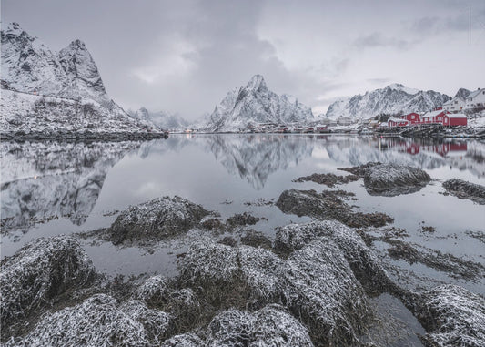 Reine | Behang