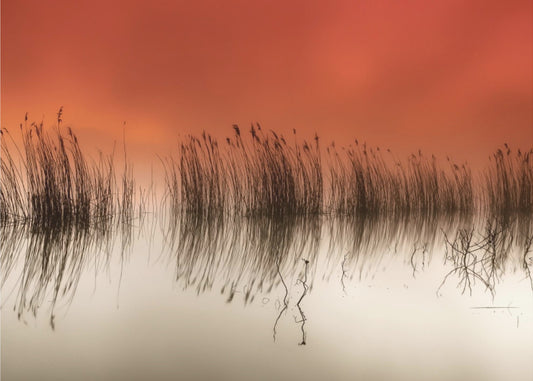 sereniteit | Canvas