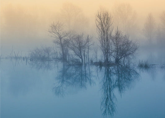 Ochtendreflectie | Canvas