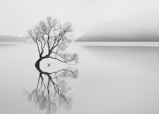 Sereniteit | Canvas